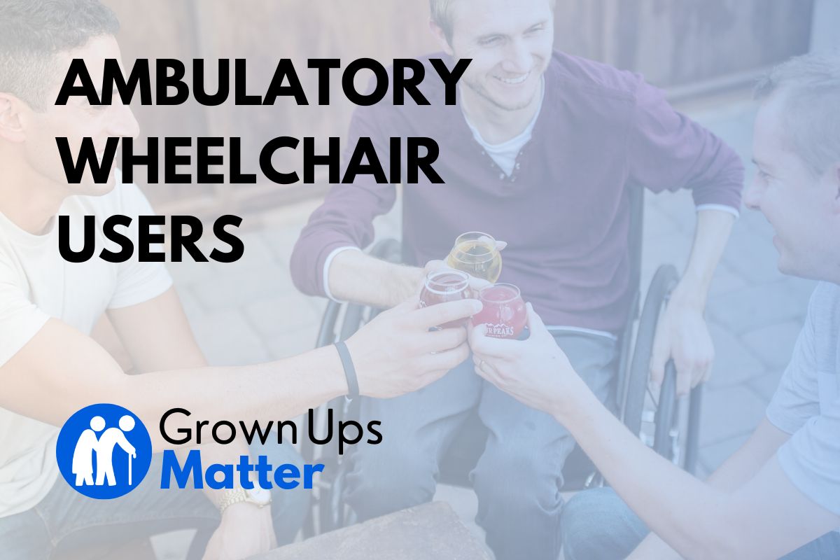 Ambulatory Wheelchair Users